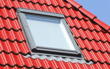roof windows Goddards Green